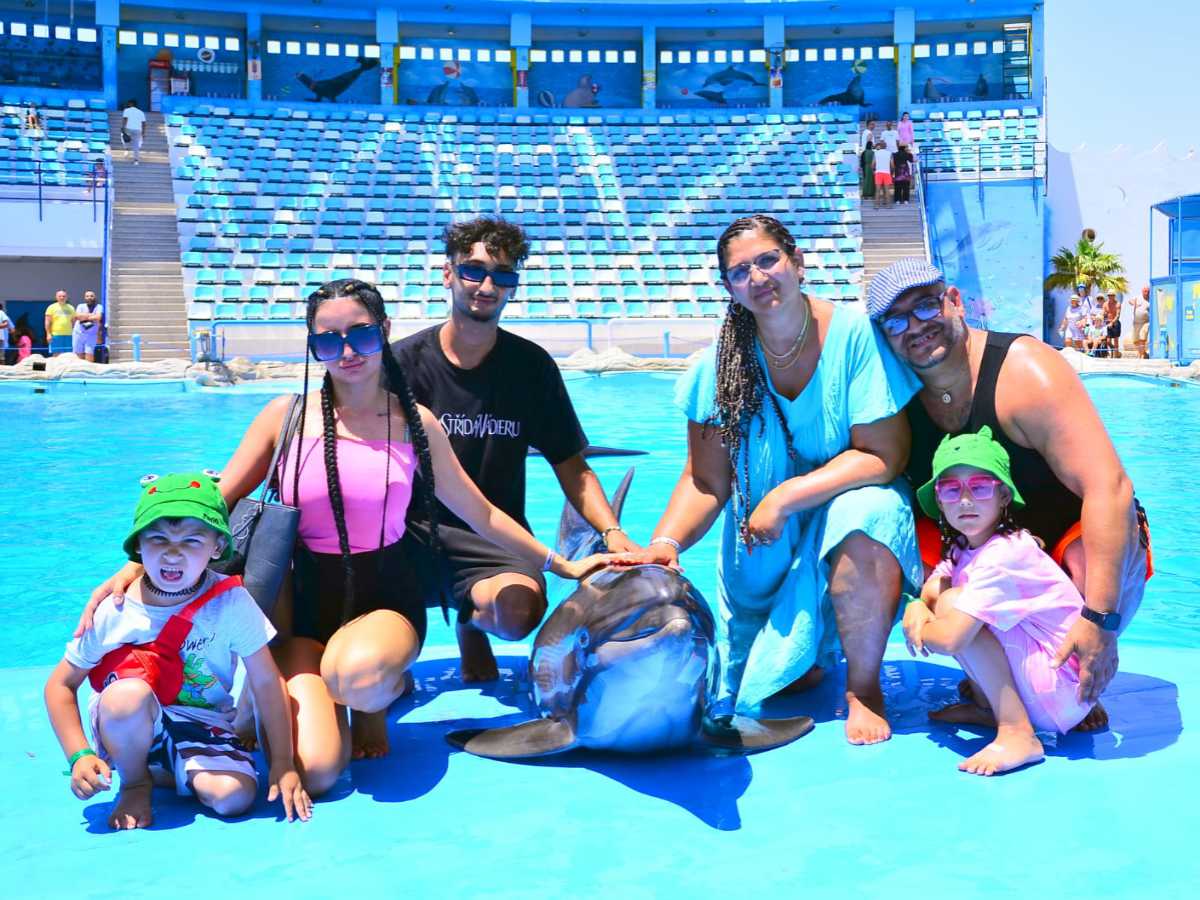 Hurghada: Dolphin Photo Session Experience with Hotel Transfers