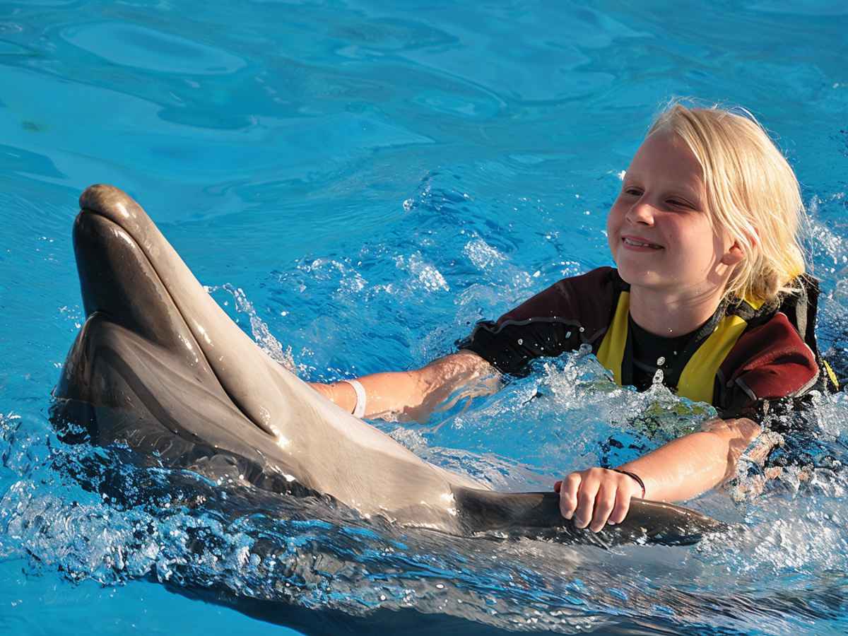 Hurghada: Swim with the Dolphins Experience with Hotel Transfers