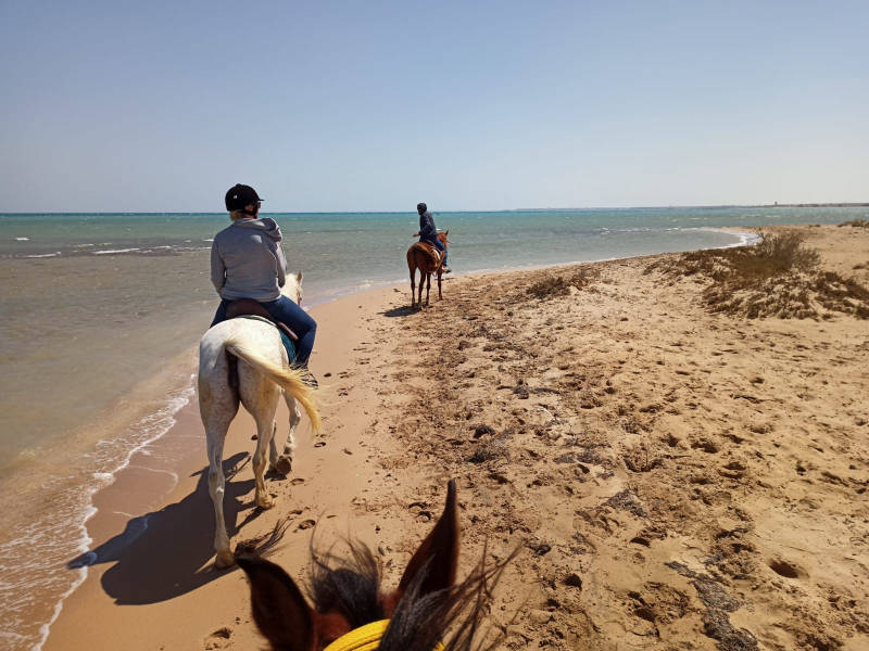 Horse riding by the beach