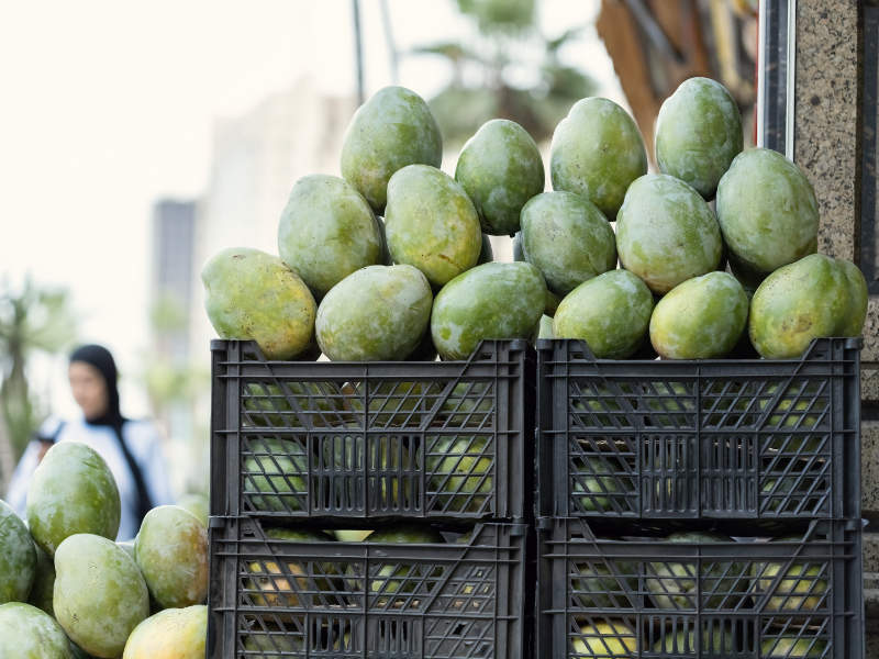 Mangos in Ismailia