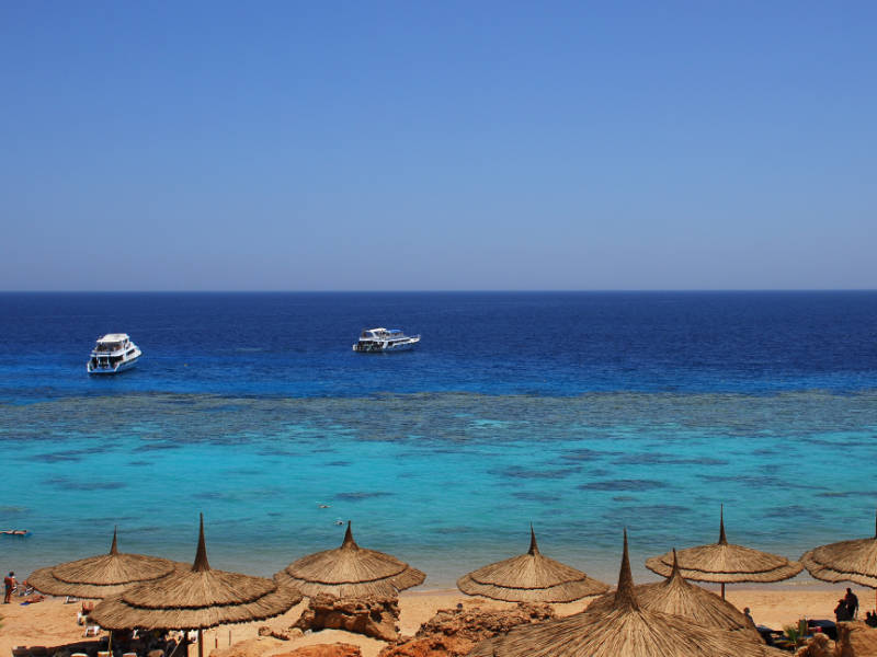 Sharks Bay, Sharm