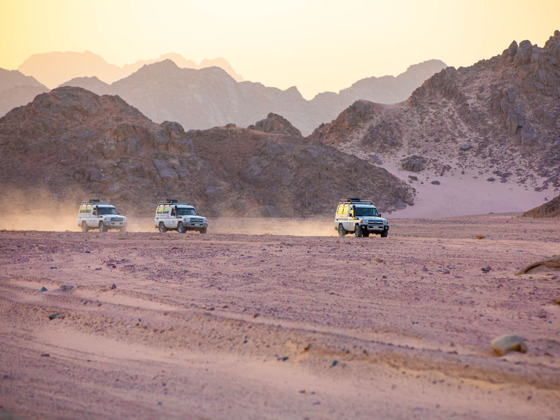 A group of jeeps in the desert