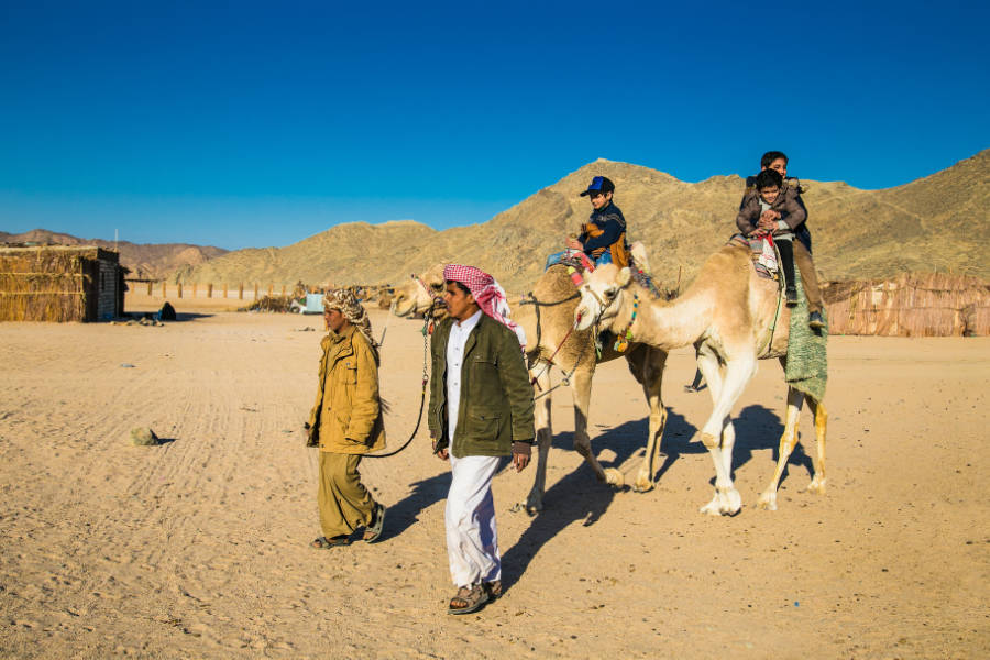 Camel riding in Hurghada