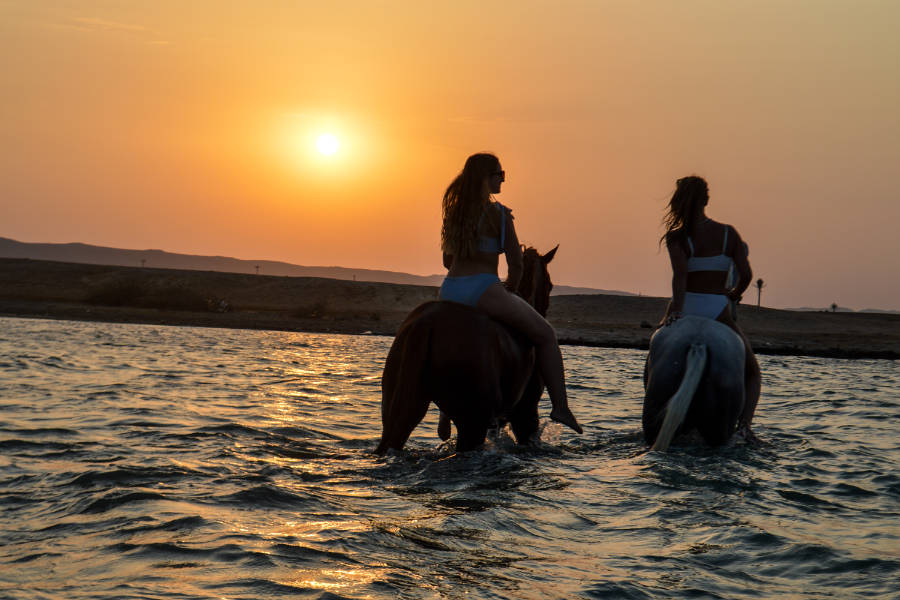 Horse riding in Hurghada