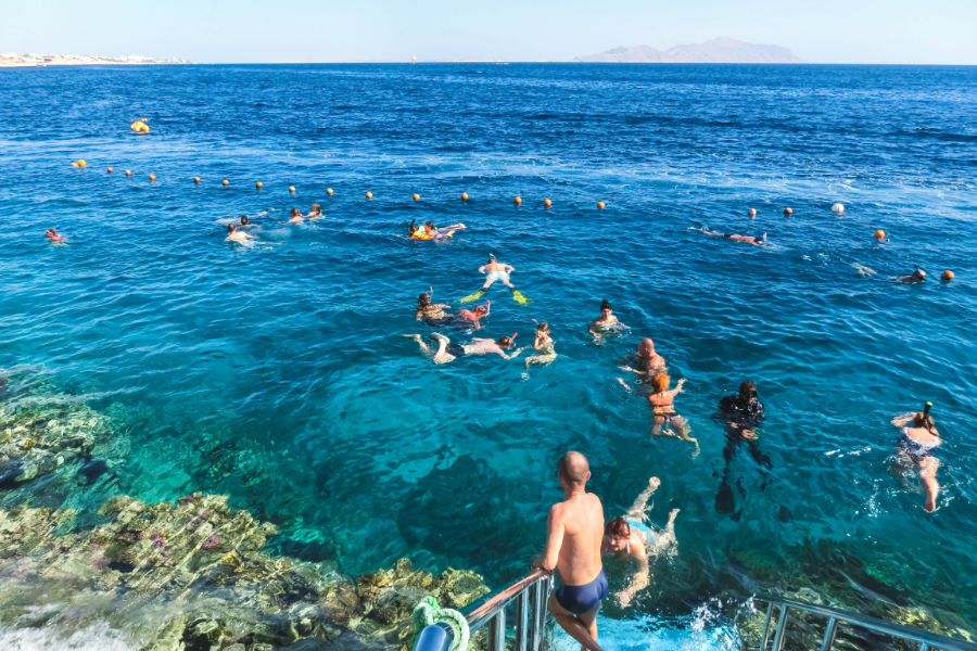 Holidaymakers snorkelling in Sharm El Sheikh