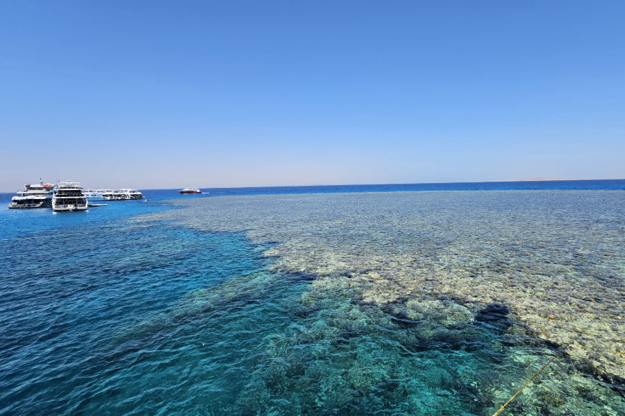 Abu Ramada dive site