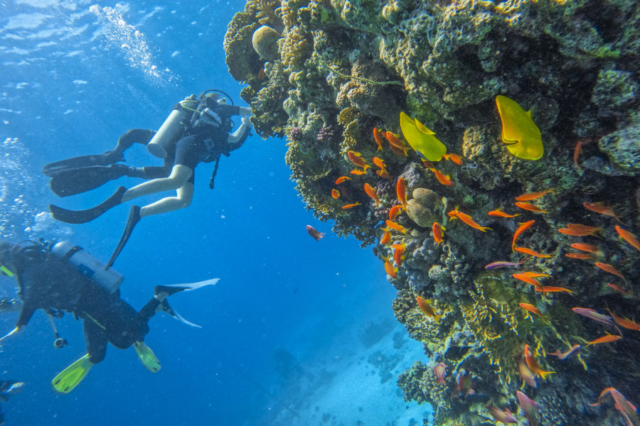 Beautiful coral reefs of Giftun Island