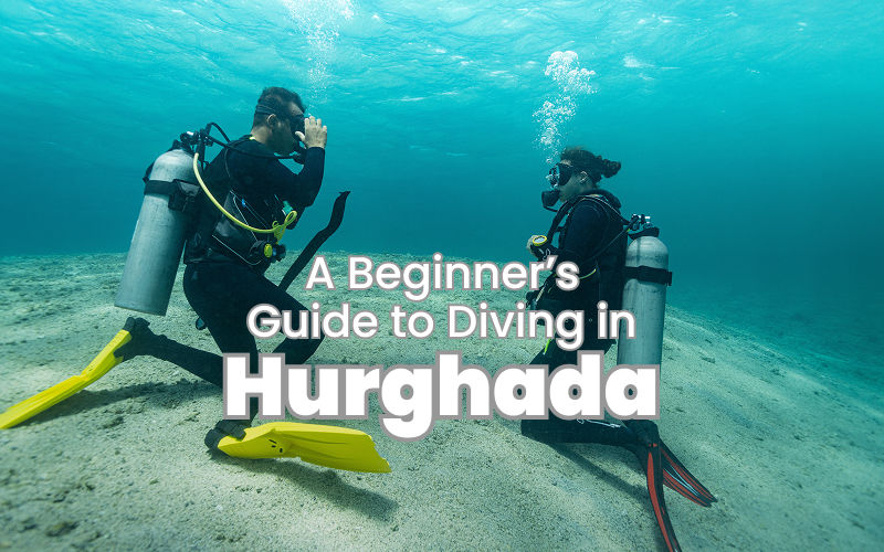 A Beginner’s Guide to Diving in Hurghada